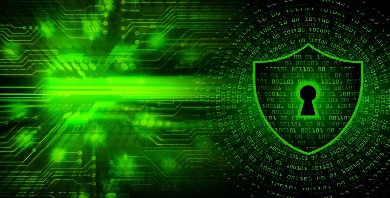 Data Protection